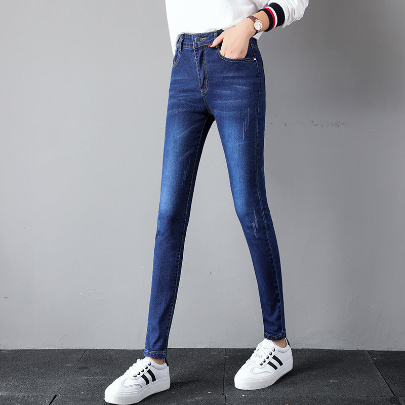 WOMENS PANTS ATB-236